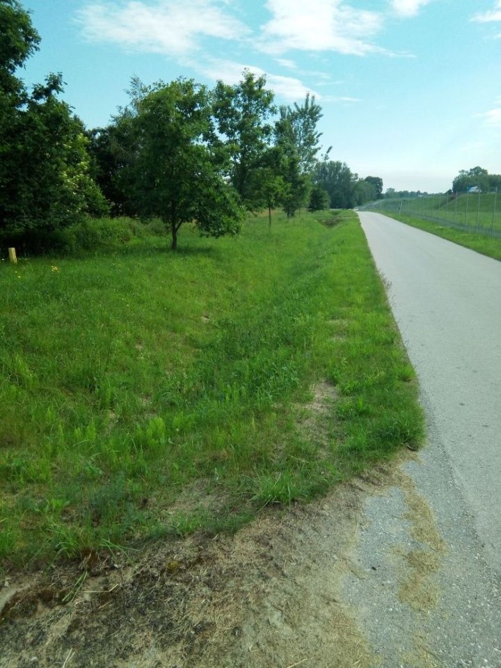 Działka siedliskowa Kajetanów. Zdjęcie 1