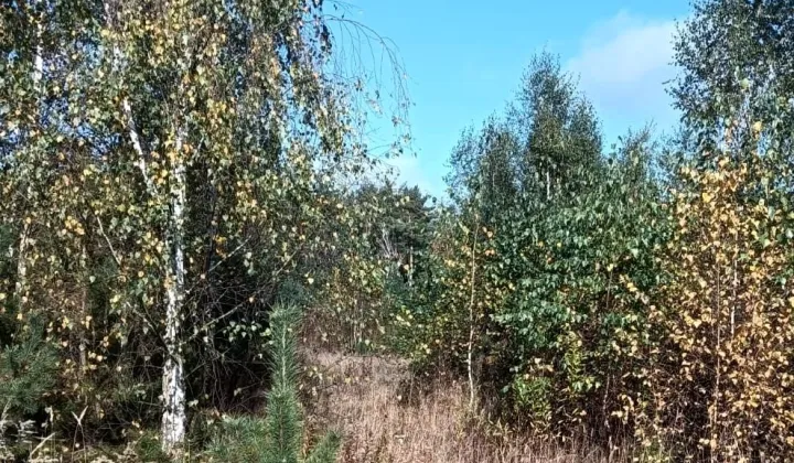 Działka budowlana Nowa Wrona