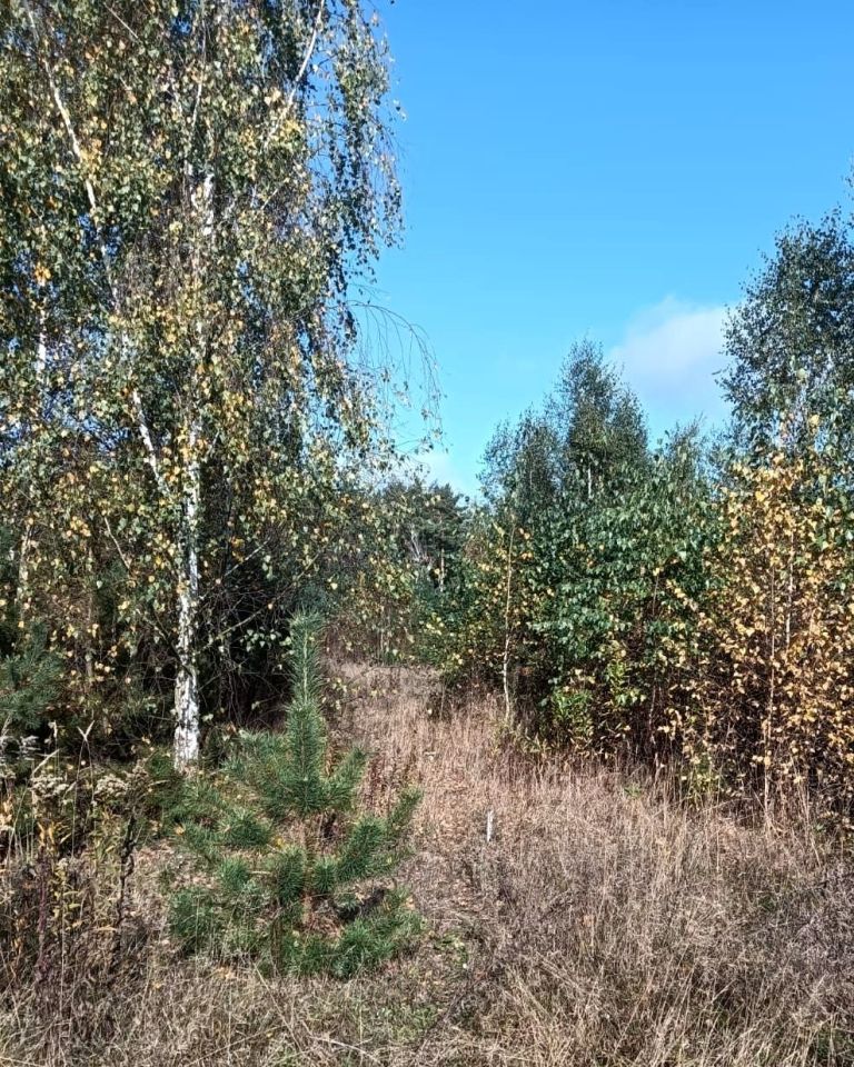Działka budowlana Nowa Wrona. Zdjęcie 1
