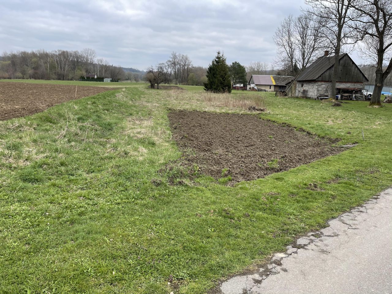 Działka rolna Burzyn. Zdjęcie 3