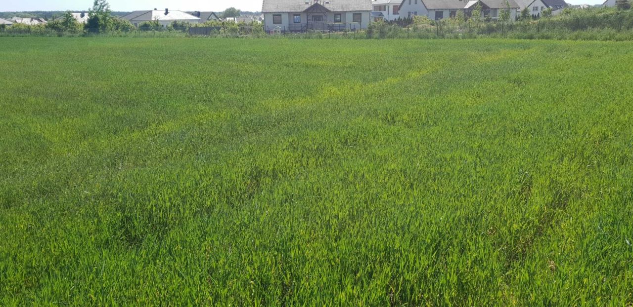 Działka rolno-budowlana Lusówko, ul. Grabowa. Zdjęcie 4