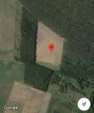 Działka rolna Tarnawa Rzepińska. Zdjęcie 1