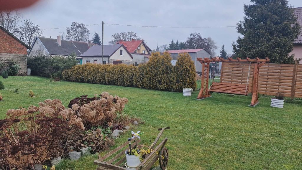 Działka rolno-budowlana Kmiecin. Zdjęcie 5