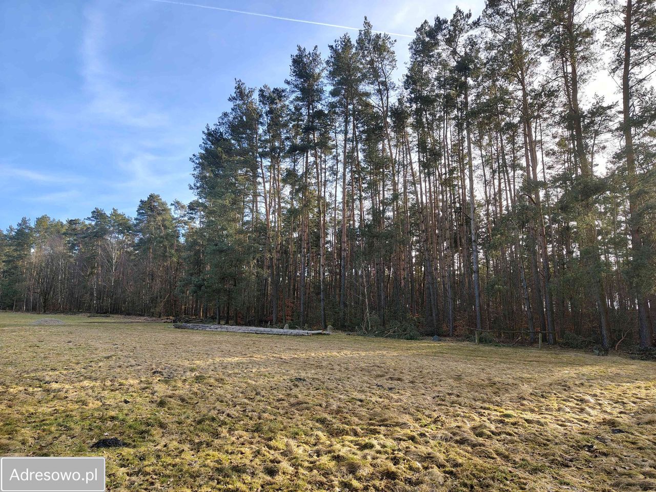 Działka budowlana Biadaszka. Zdjęcie 10
