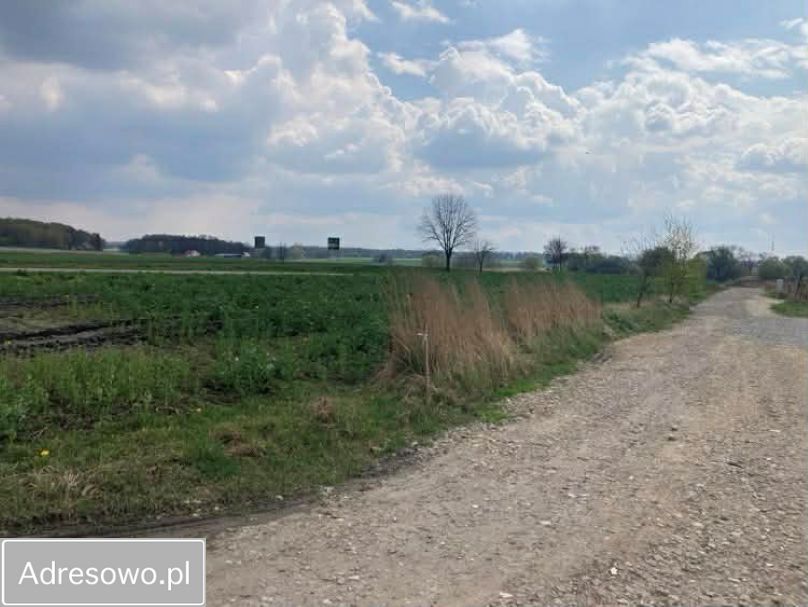 Działka budowlana Paniówki, ul. Zabrska. Zdjęcie 3