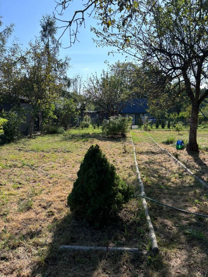 Działka rod Nowa Dęba. Zdjęcie 5