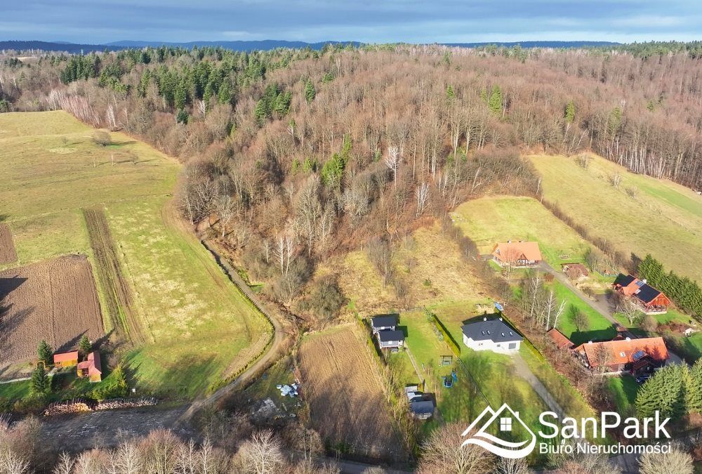 Działka rolna Orelec. Zdjęcie 5