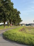 Działka budowlana Pustków Żurawski. Zdjęcie 2