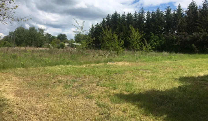 Działka budowlana Niałek Wielki