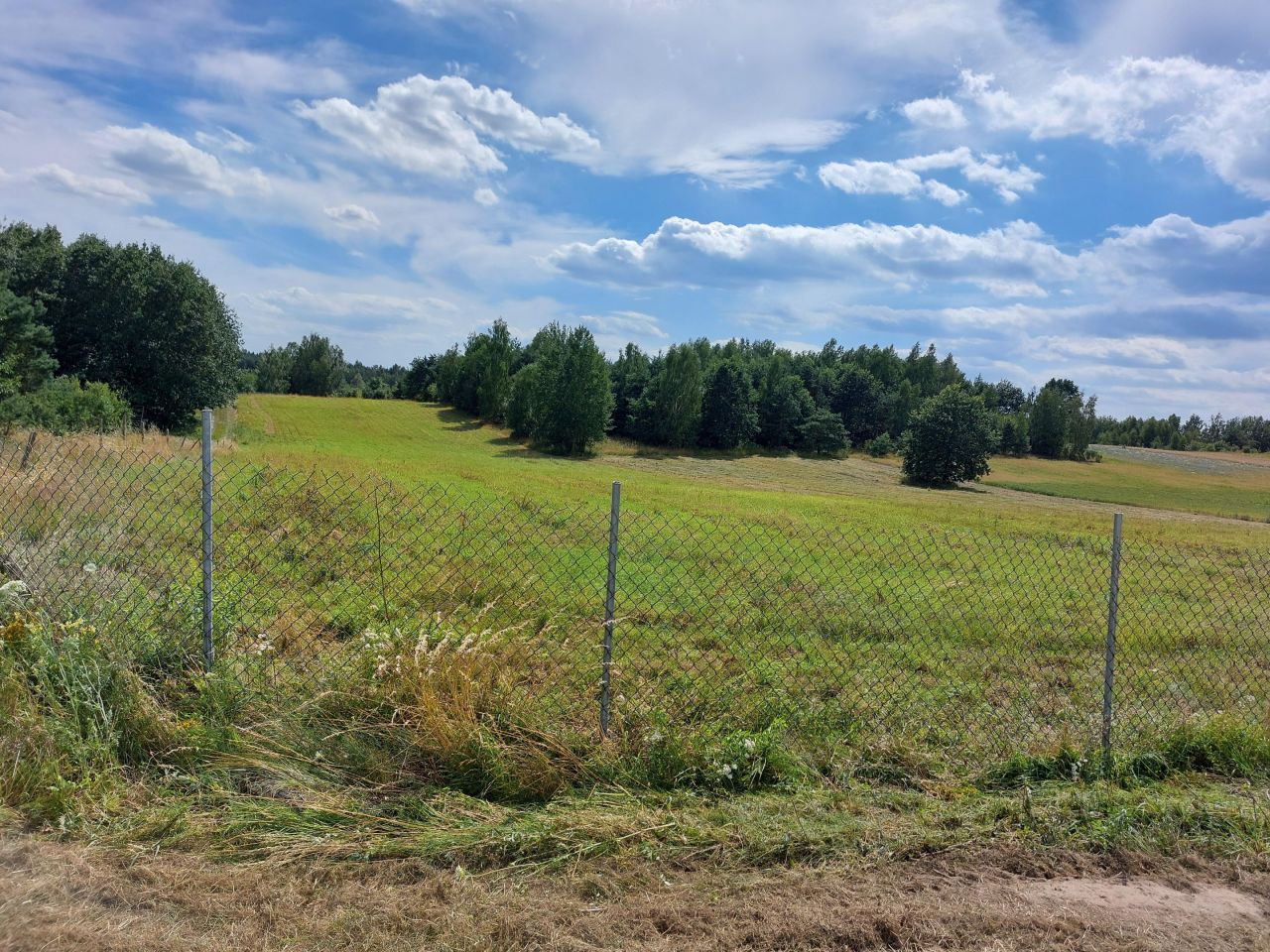 Działka rolna Białki Górne. Zdjęcie 3