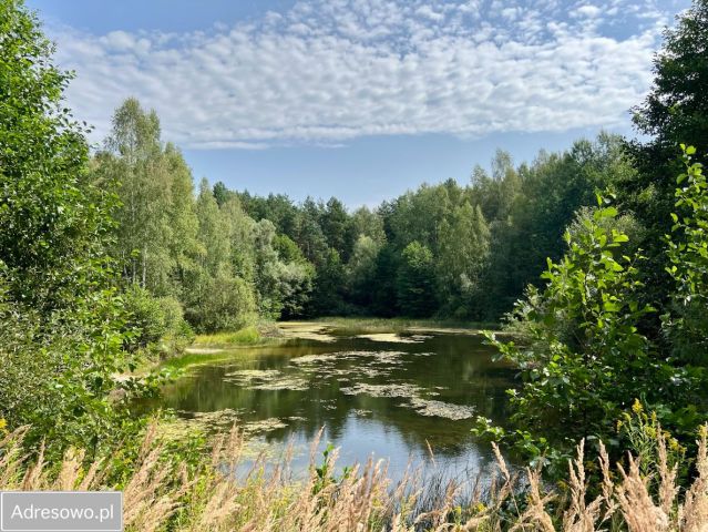 Działka budowlana Jeruzal, ul. Szkolna. Zdjęcie 1