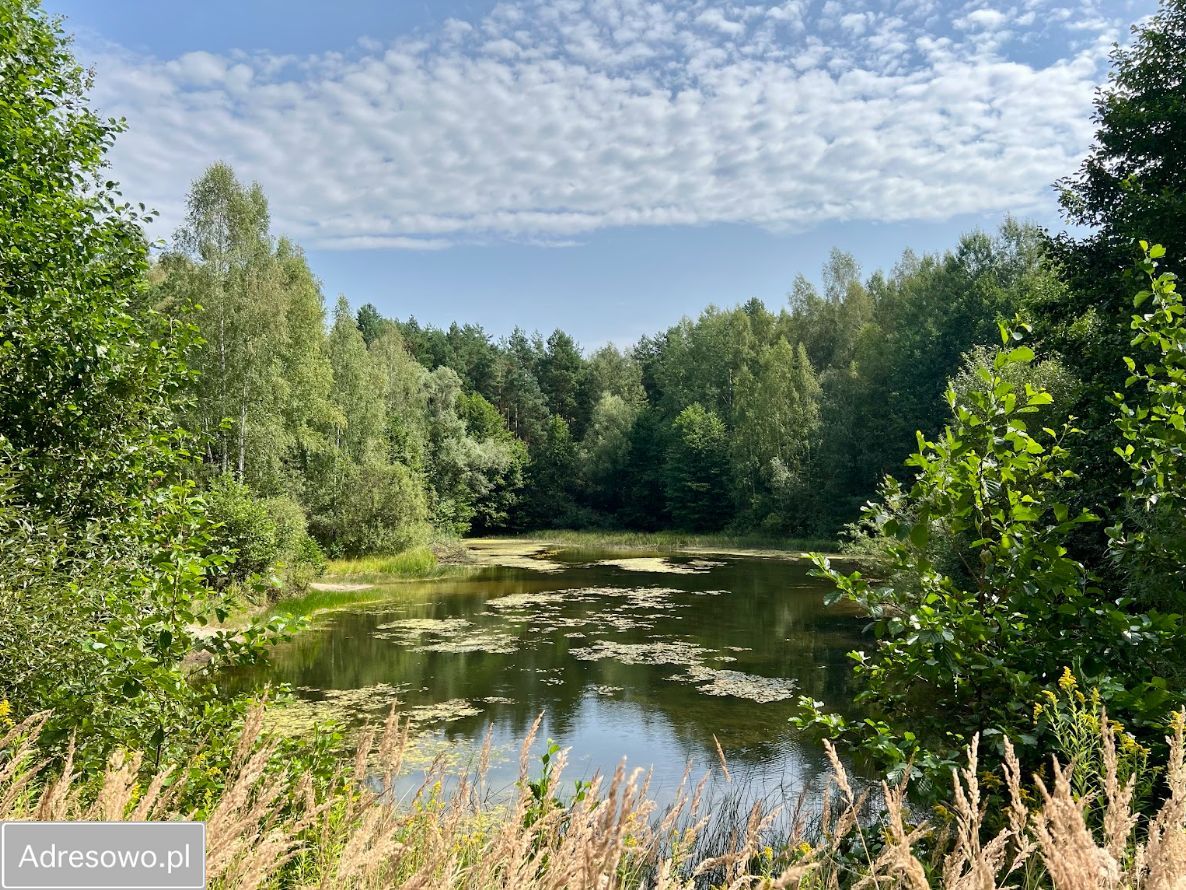 Działka budowlana Jeruzal, ul. Szkolna. Zdjęcie 1