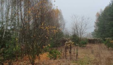 Działka leśna Helenów