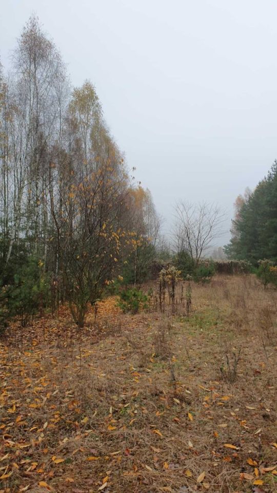 Działka leśna Helenów