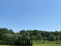 Działka budowlana Hajduki Nyskie. Zdjęcie 4