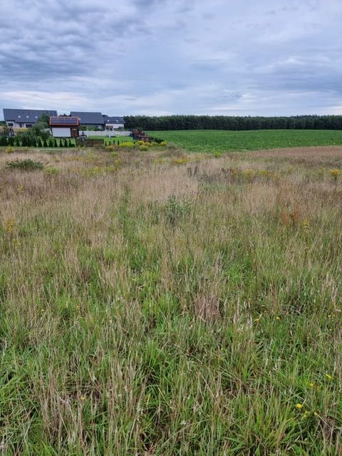 Działka rolno-budowlana Grabowo. Zdjęcie 5