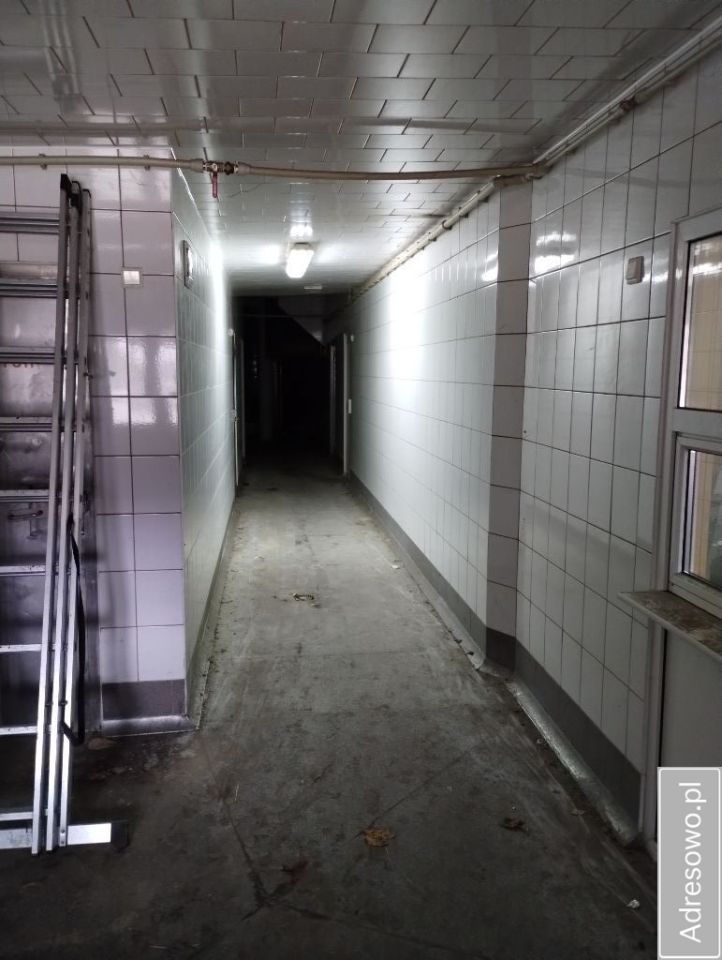 Lokal Dąbrowa-Dzięciel. Zdjęcie 3