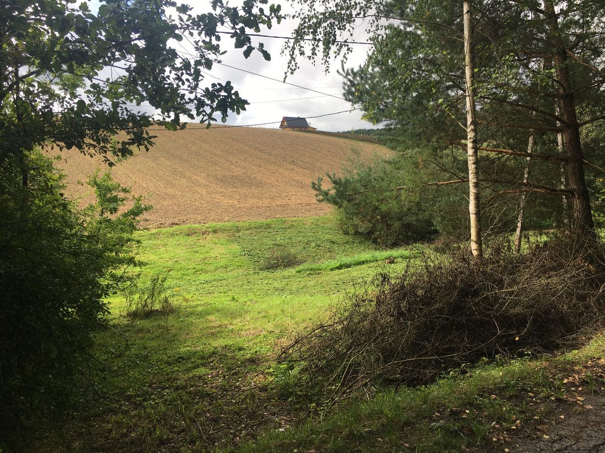 Działka siedliskowa Minoga. Zdjęcie 4