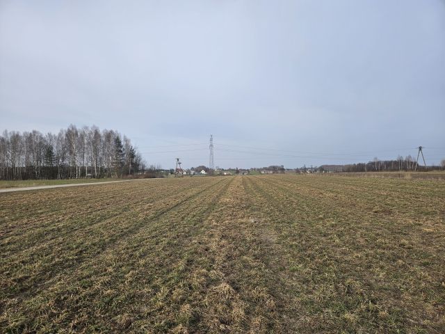 Działka budowlana Dobrzyniec. Zdjęcie 1