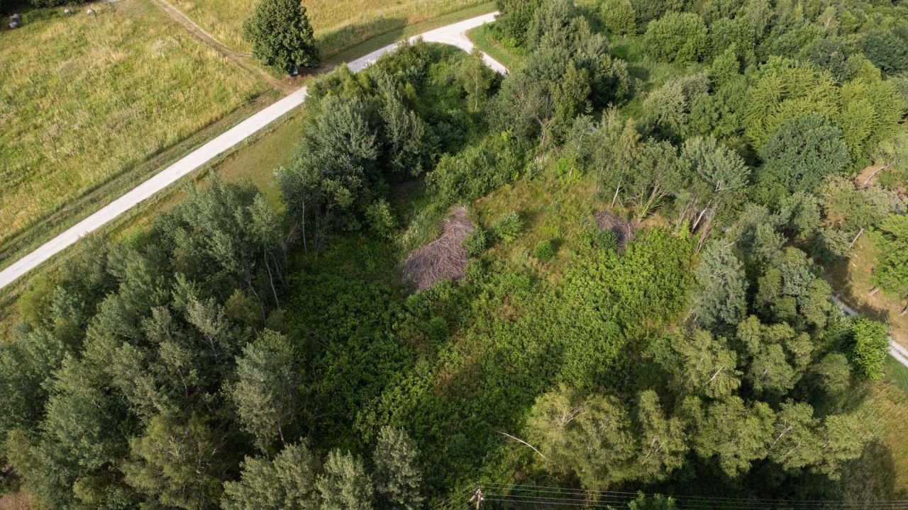 Działka rolna Nowy Borek. Zdjęcie 5