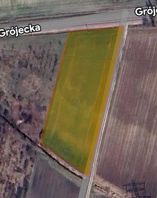 Działka rolno-budowlana Drwalew, ul. Grójecka. Zdjęcie 8