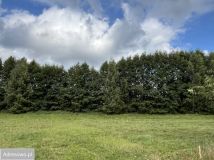 Działka budowlana Psary Wielkie. Zdjęcie 3