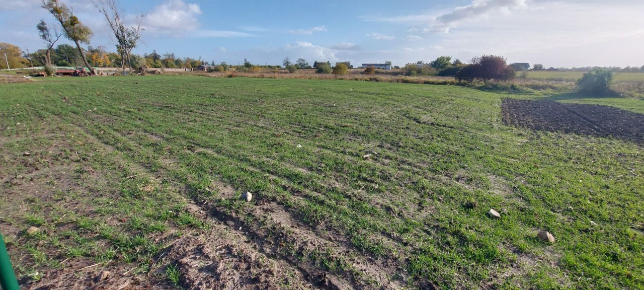 Działka rolna Mikołajew. Zdjęcie 6