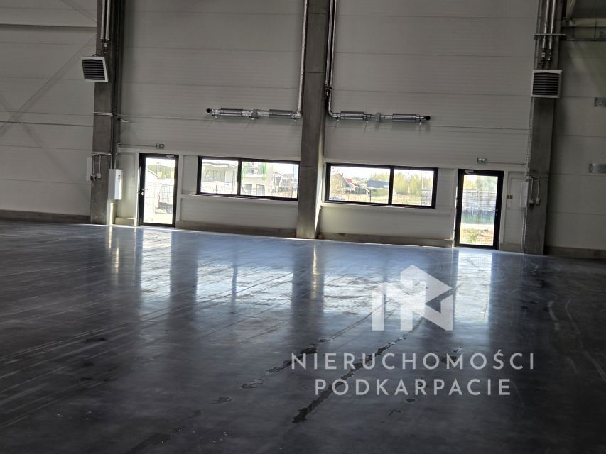 Hala/magazyn Rzeszów Dworzysko, ul. Biznesowa. Zdjęcie 4