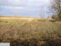 Działka rolna Gołkowice. Zdjęcie 3