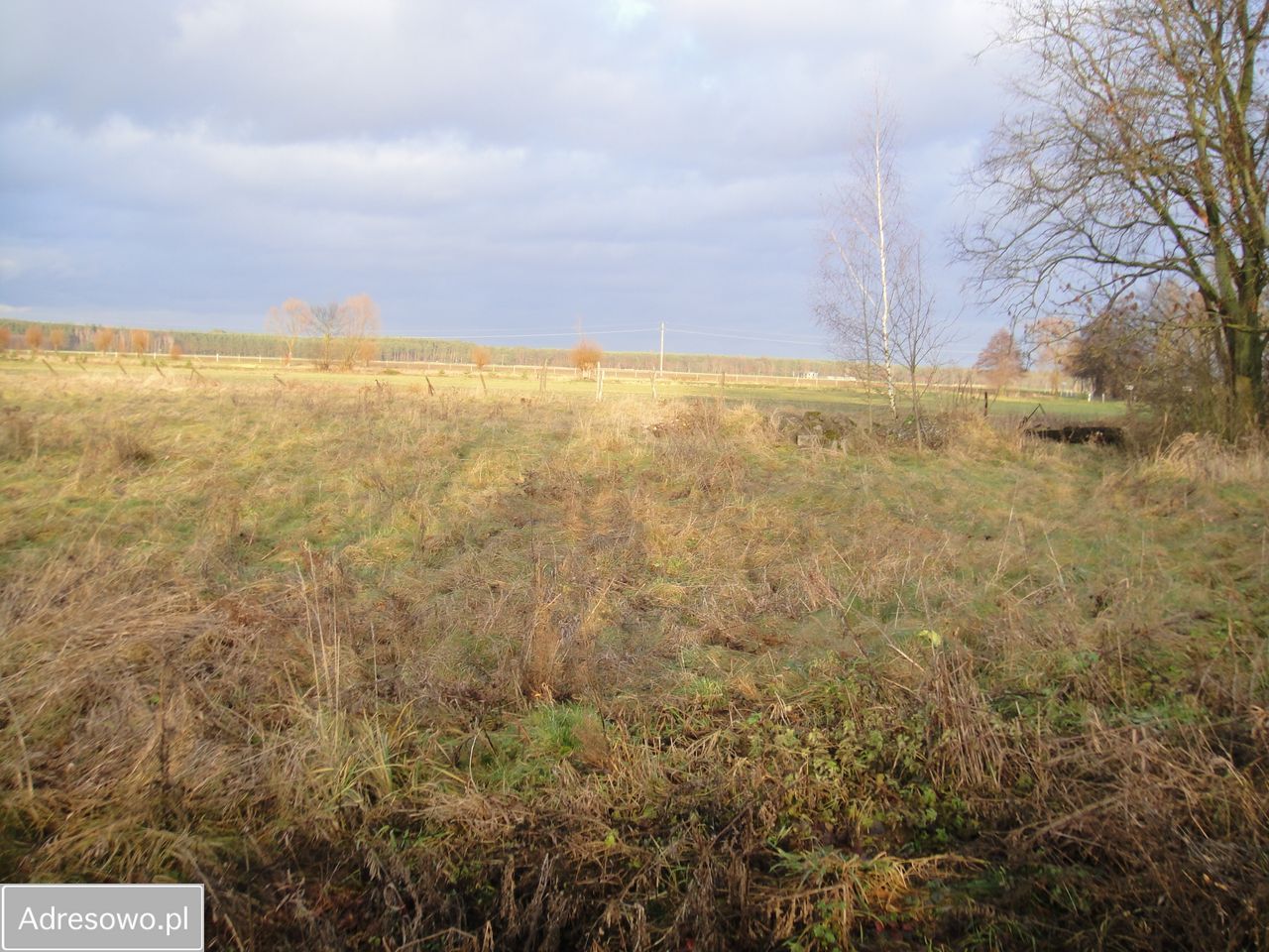 Działka rolna Gołkowice. Zdjęcie 4