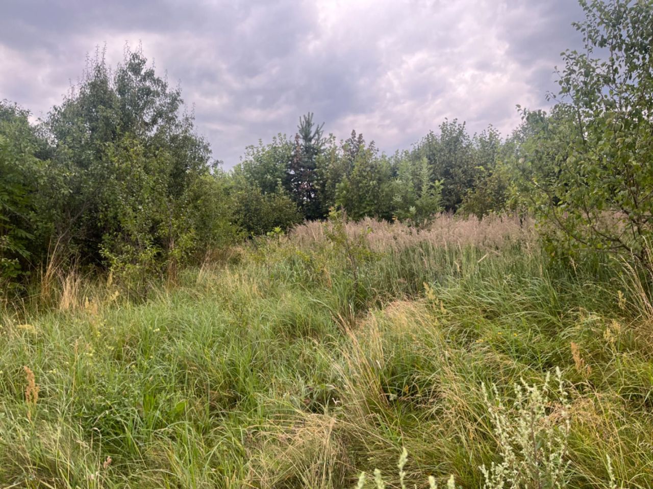 Działka siedliskowa Lubień. Zdjęcie 4