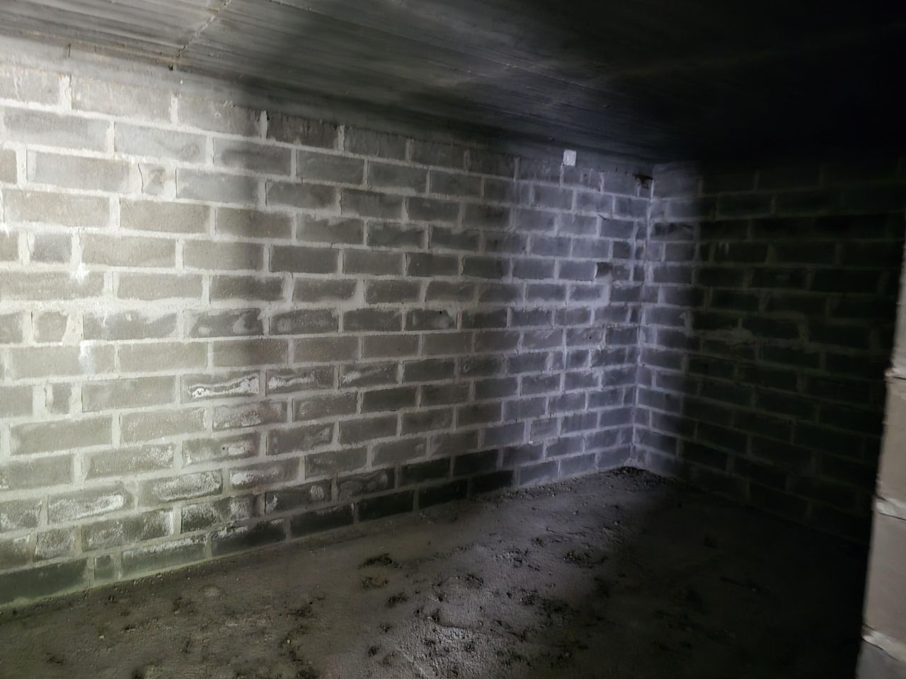 Działka budowlana Rolbik. Zdjęcie 5