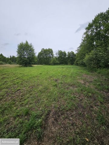 Działka rolna Gorzewo. Zdjęcie 1