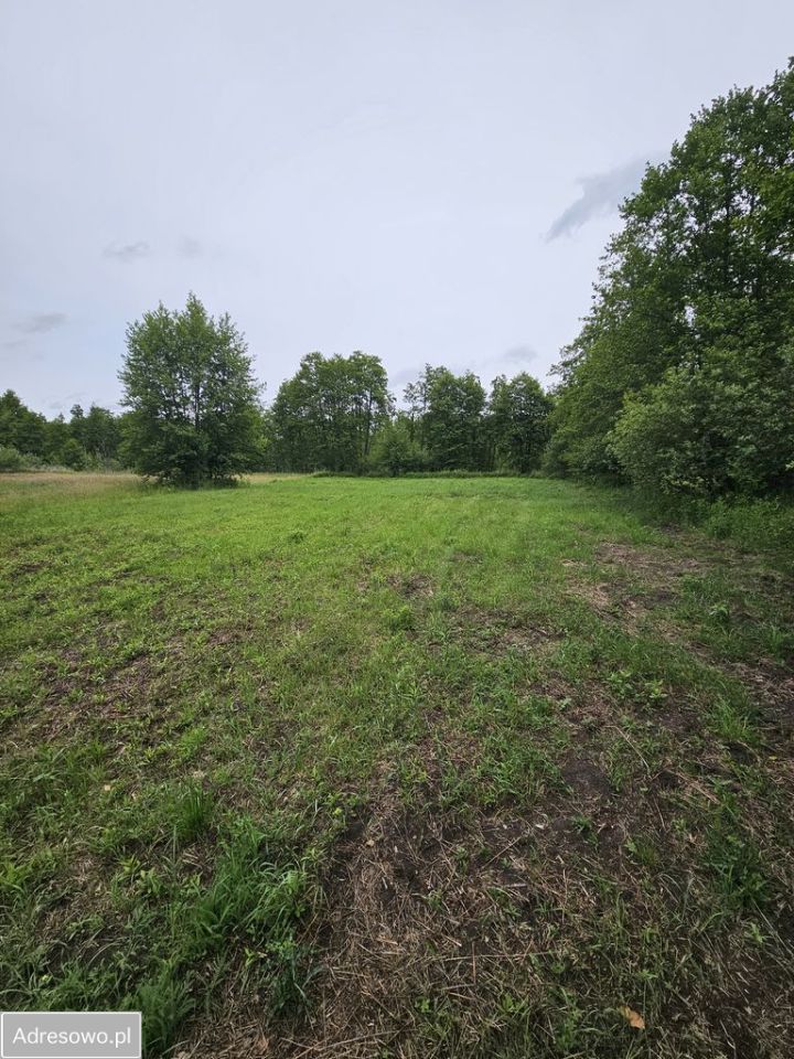 Działka rolna Gorzewo