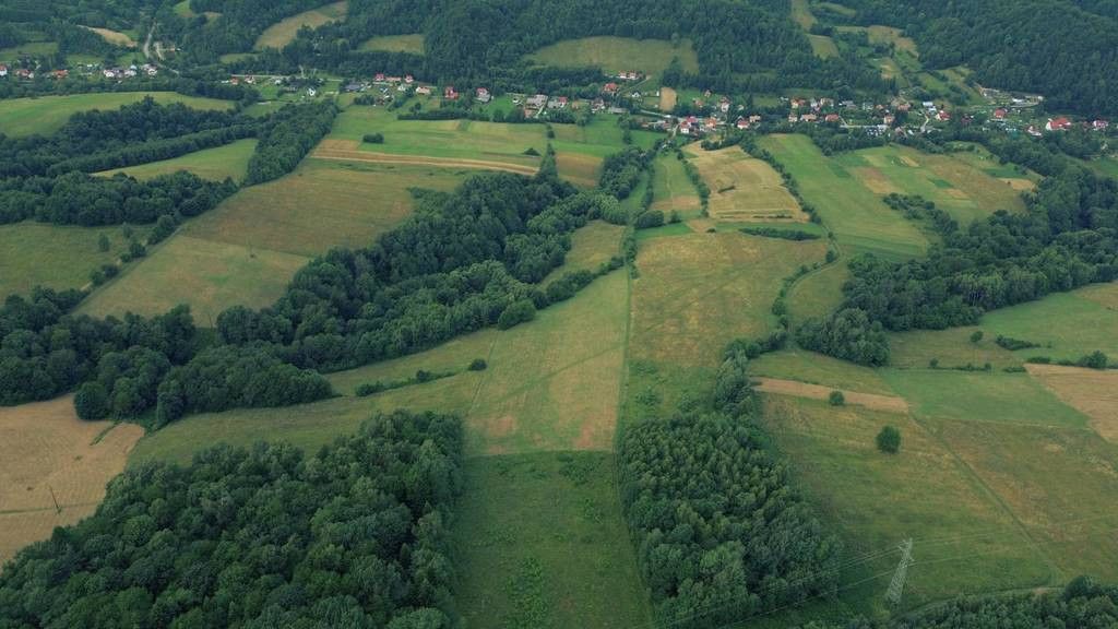 Działka rolna Górzanka. Zdjęcie 2