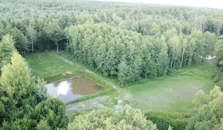 Działka rekreacyjna Irena