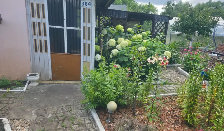 Działka rod Nowa Sól, ul. Ceglana