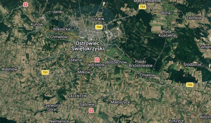 bliźniak Goździelin