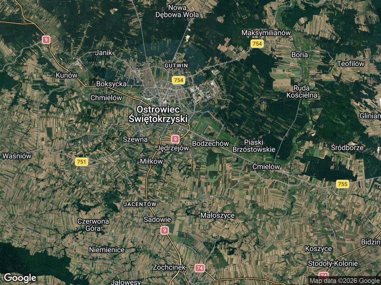 bliźniak Goździelin. Zdjęcie 1