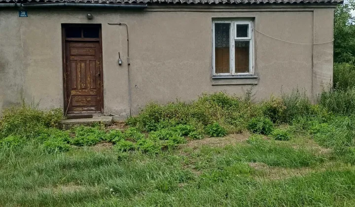bliźniak Sokołowy Kąt