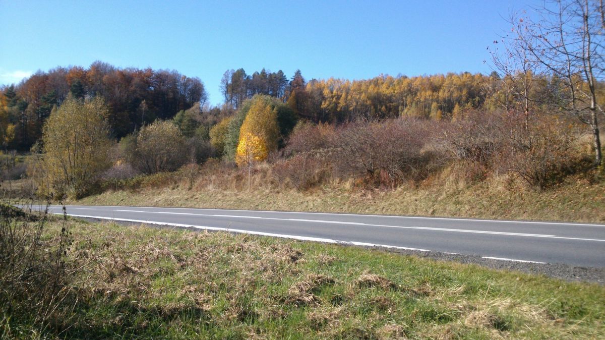 Działka budowlana Lewin Kłodzki. Zdjęcie 3