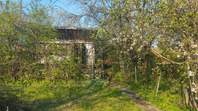 Działka rod Gdańsk Emaus, ul. Nowolipie. Zdjęcie 1