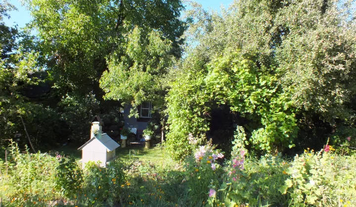 Działka rekreacyjna Siemianowice Śląskie, ul. Katowicka