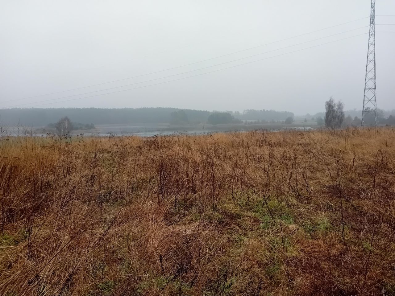 Działka budowlana Binowo. Zdjęcie 15