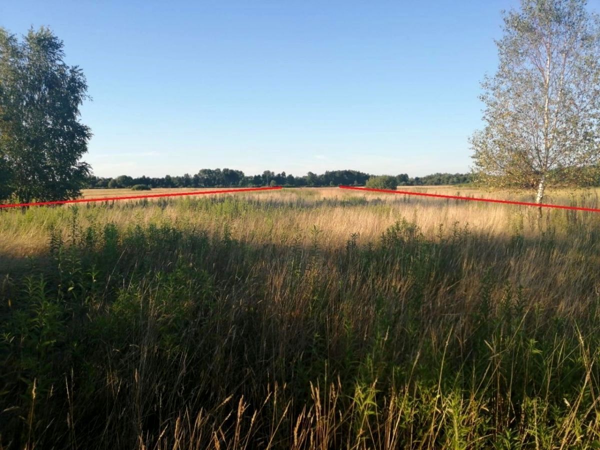 Działka rolna Krubki-Górki. Zdjęcie 2