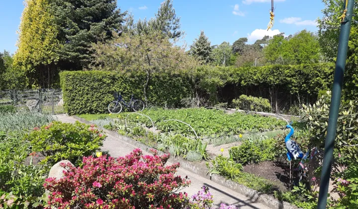 Działka rod Dziewkowice