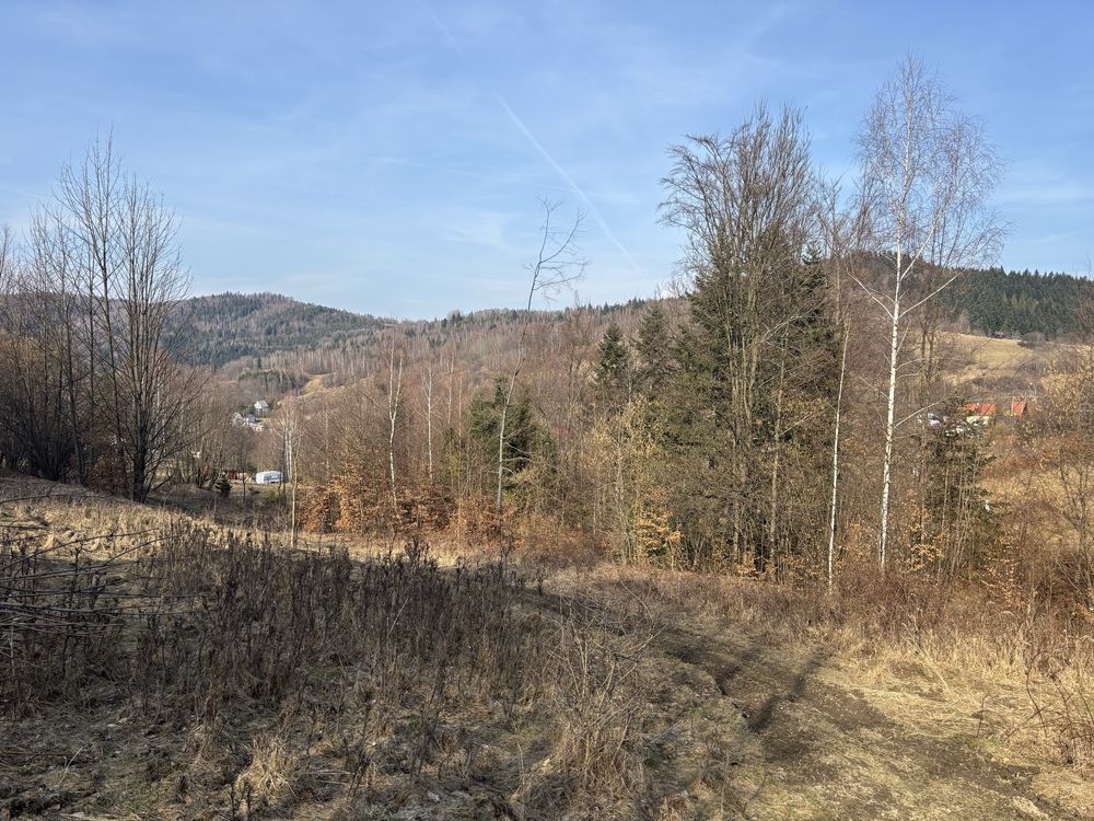 Działka leśna Juszczyna. Zdjęcie 1