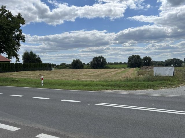 Działka budowlana Owieczki. Zdjęcie 1