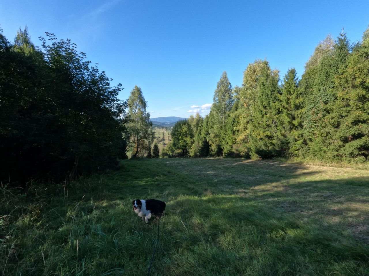 Działka rolna Sól Na Bugaju, Brak ulicy. Zdjęcie 7