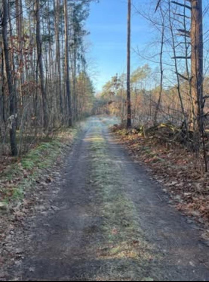 Działka rolno-budowlana Teodory. Zdjęcie 6